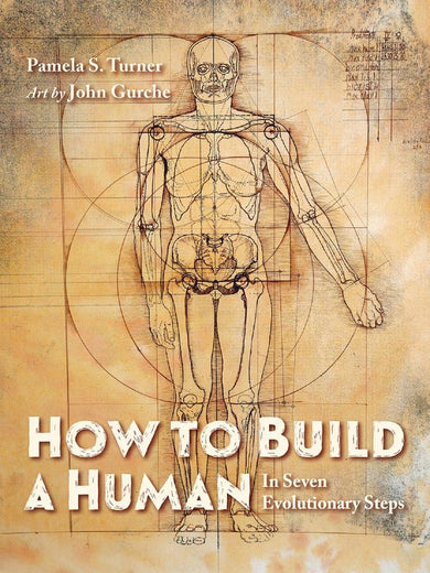 How to Build a Human-Children’s / Teenage general interest: History and Warfare-買書書 BuyBookBook