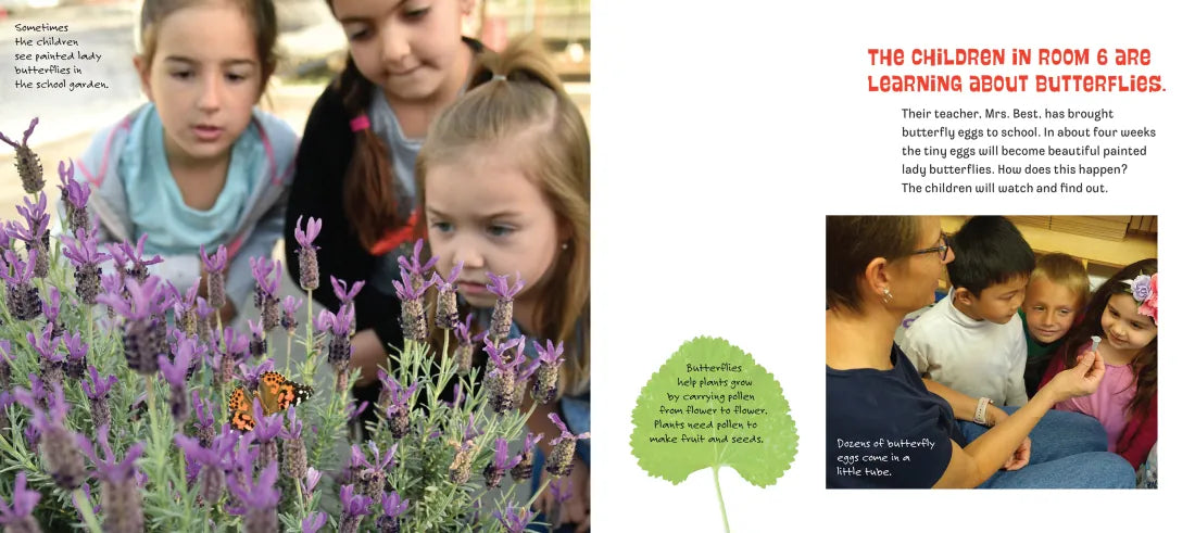 Butterflies in Room 6 US - Paperback / softback