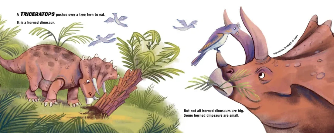Dinosaurs Can Be Small US - Hardback