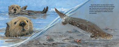 Glaciers Are Alive US - Hardback
