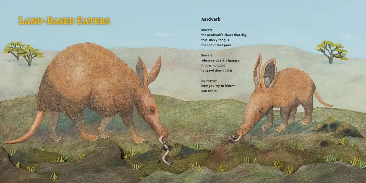 Wild Brunch US - Hardback