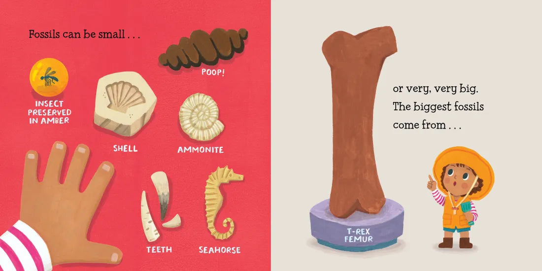Baby Loves Paleontology US - Board book