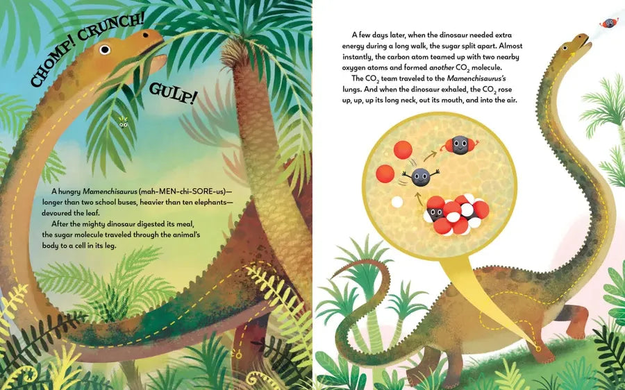 From BAM! to BURP! US - Hardback