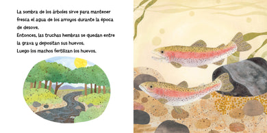 Las truchas están hechas de árboles (Spanish Edition) interior 3 (ISBN 9781623544485)