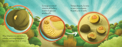 No es un frijol (Spanish Edition) interior 2 (ISBN 9781623544829)