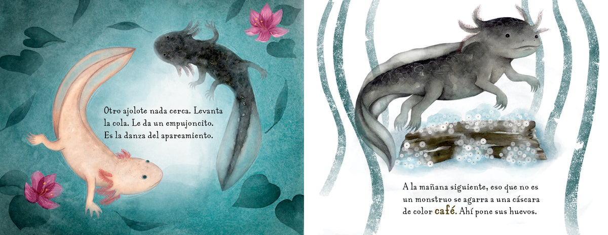 No es un monstruo (Spanish Edition) interior 2 (ISBN 9781623544836)