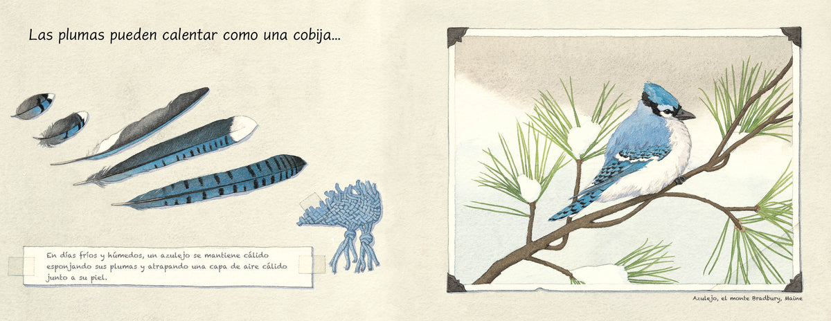 Las plumas (Spanish Edition) interior 1 (ISBN 9781623545604)