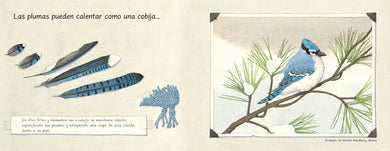 Las plumas (Spanish Edition) interior 1 (ISBN 9781623545604)