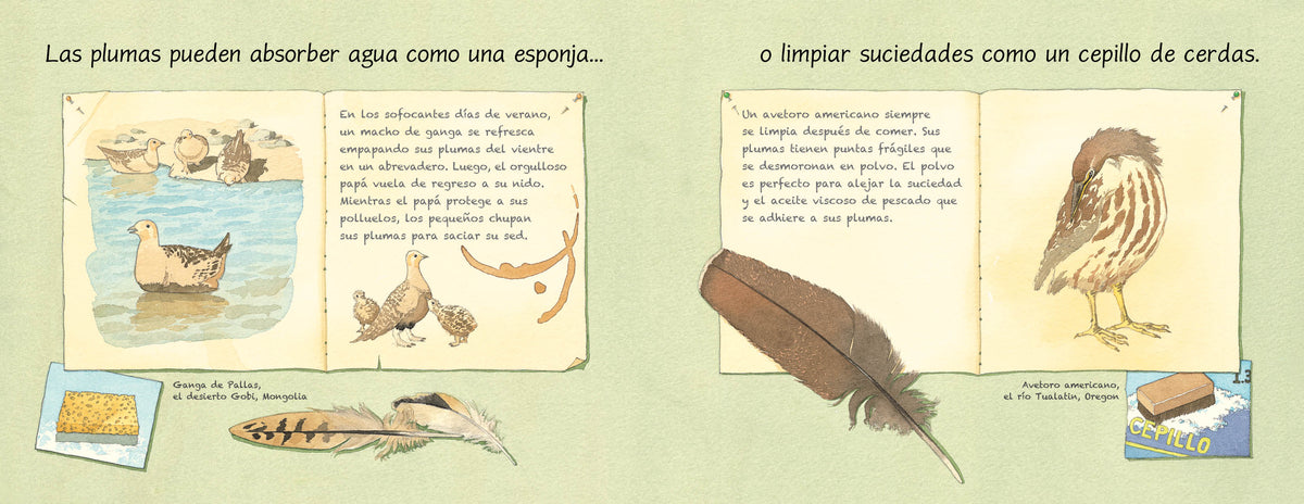 Las plumas (Spanish Edition) interior 2 (ISBN 9781623545604)