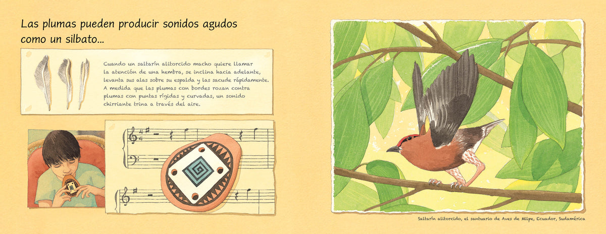 Las plumas (Spanish Edition) interior 3 (ISBN 9781623545604)