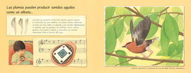 Las plumas (Spanish Edition) interior 3 (ISBN 9781623545604)