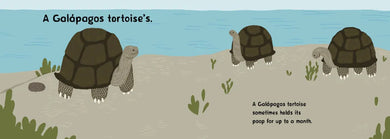 Whose Poop Is That? US - Board book
