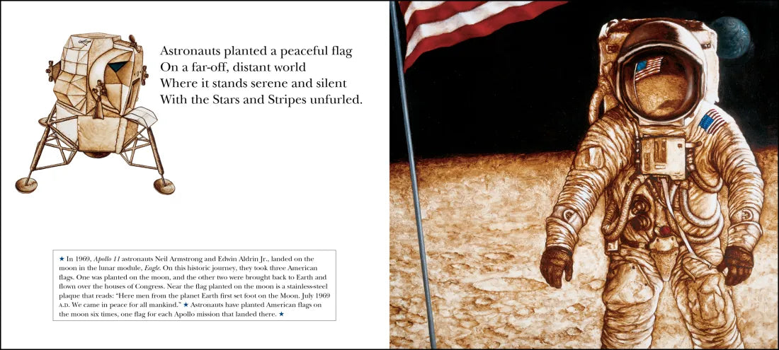 The Flag We Love US - Paperback / softback