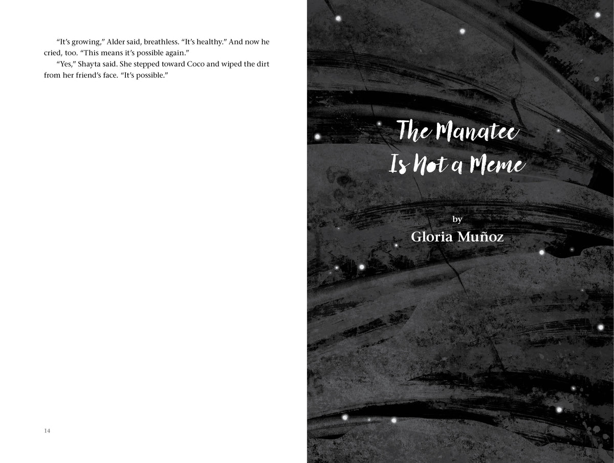 Onward interior 3 (ISBN 9781623548827)