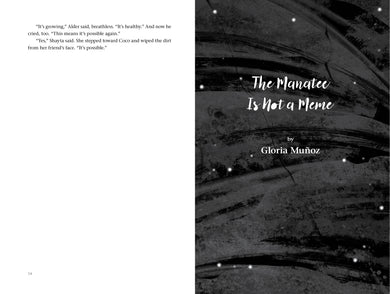Onward interior 3 (ISBN 9781623548827)