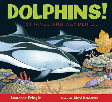 Dolphins!-Children’s / Teenage general interest: Nature and animals-買書書 BuyBookBook