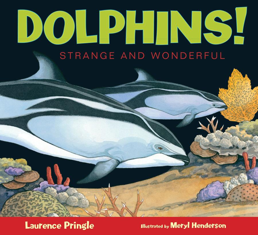 Dolphins!-Children’s / Teenage general interest: Nature and animals-買書書 BuyBookBook
