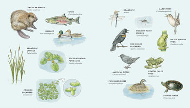 Curious Kids Nature Guide US - Hardback