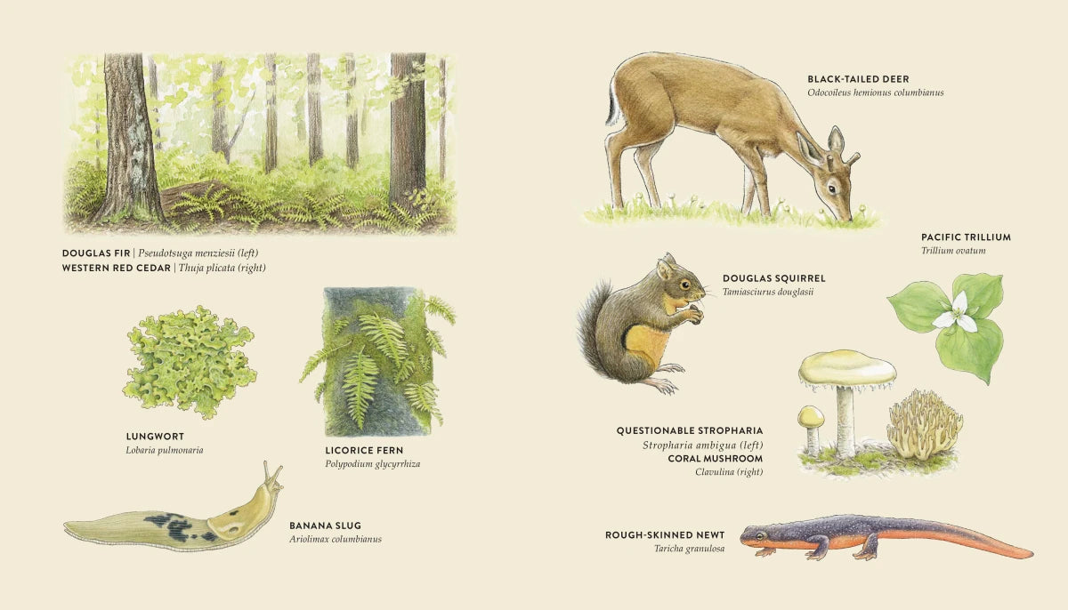 Curious Kids Nature Guide US - Hardback