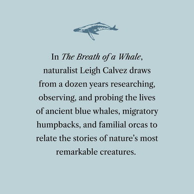 The Breath of a Whale US - Paperback / softback