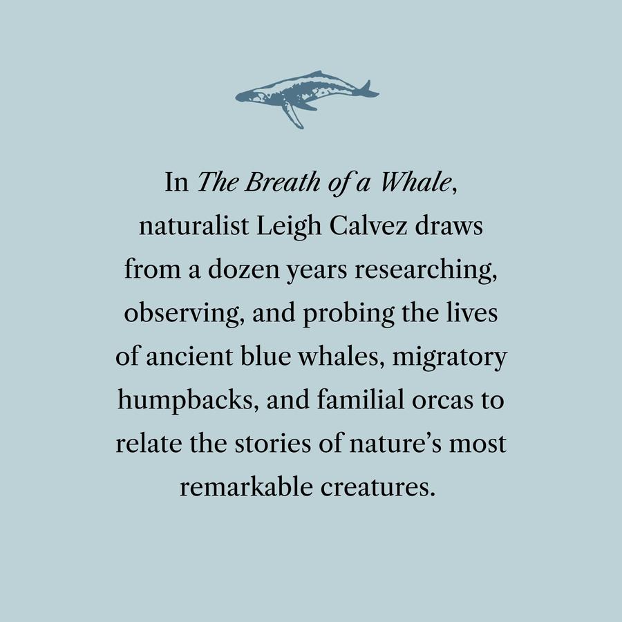 The Breath of a Whale US - Paperback / softback