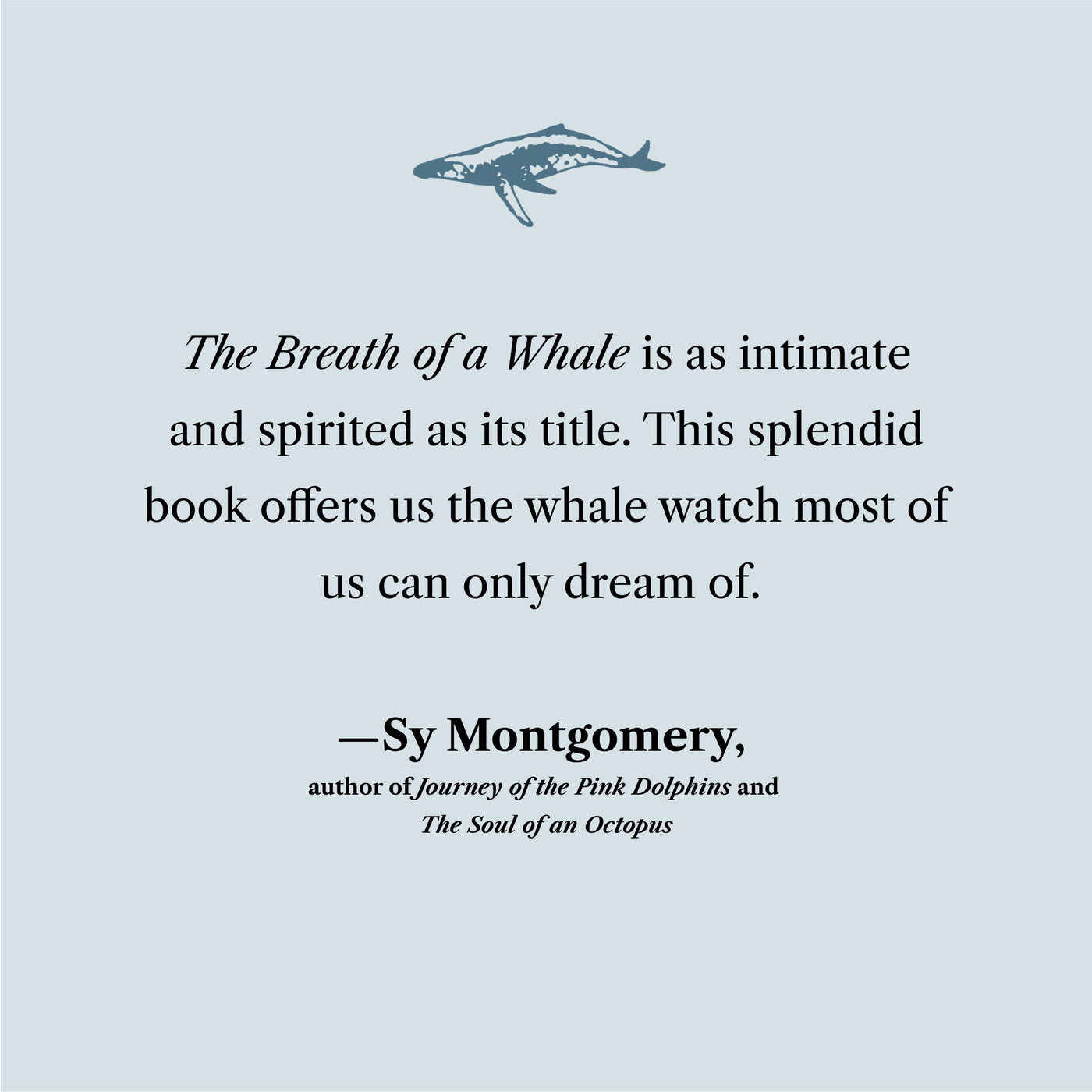 The Breath of a Whale US - Paperback / softback