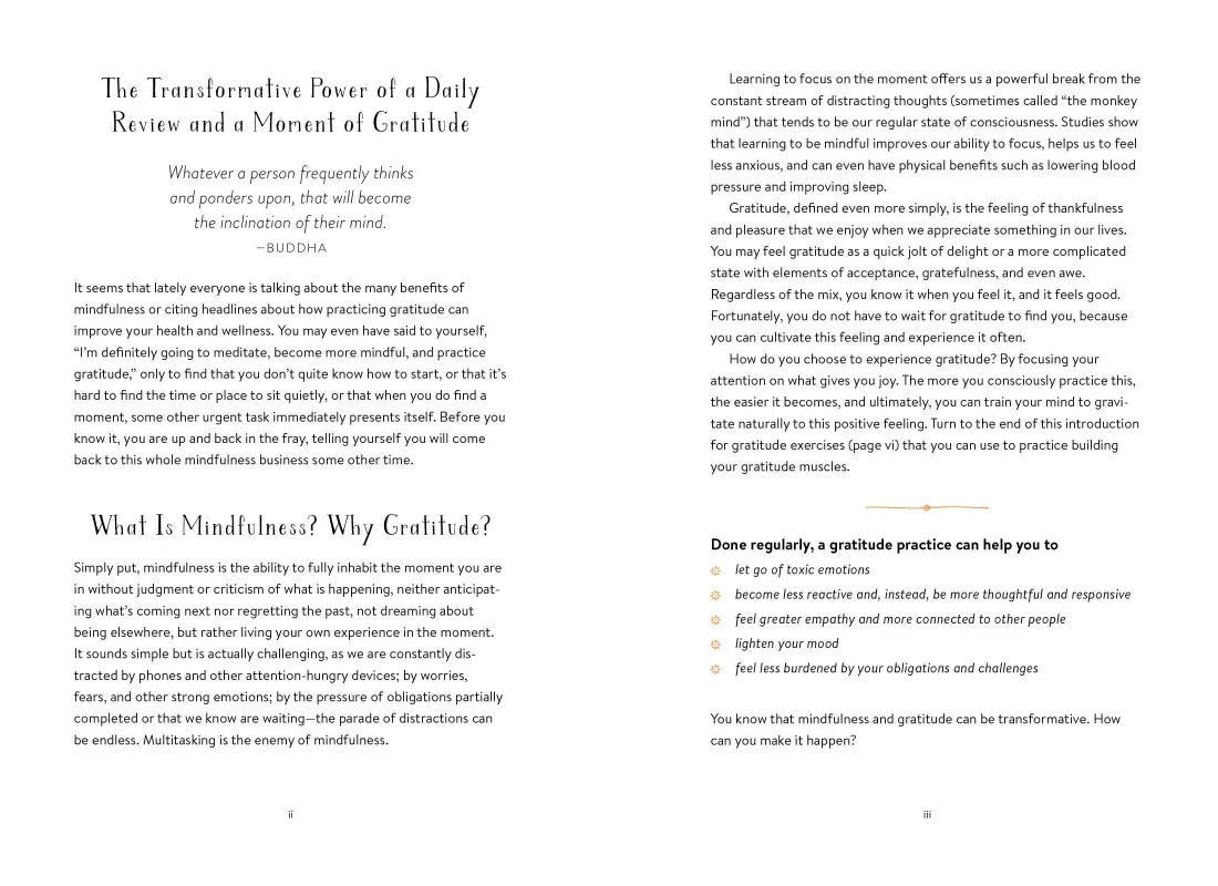 Best Worst Grateful US - Diary or journal