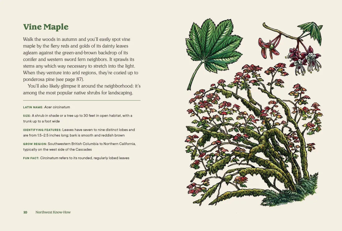 Northwest Know-How: Trees US - Hardback