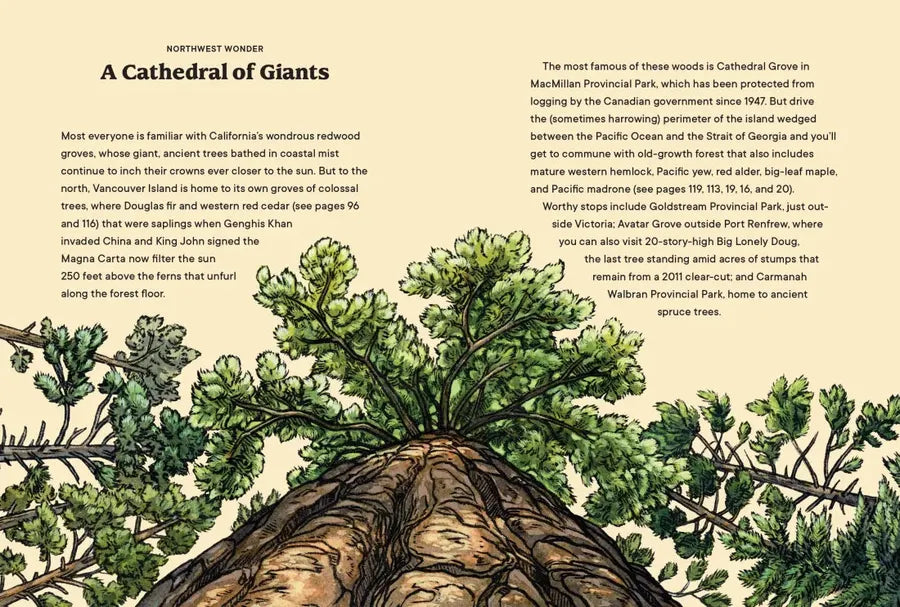 Northwest Know-How: Trees US - Hardback