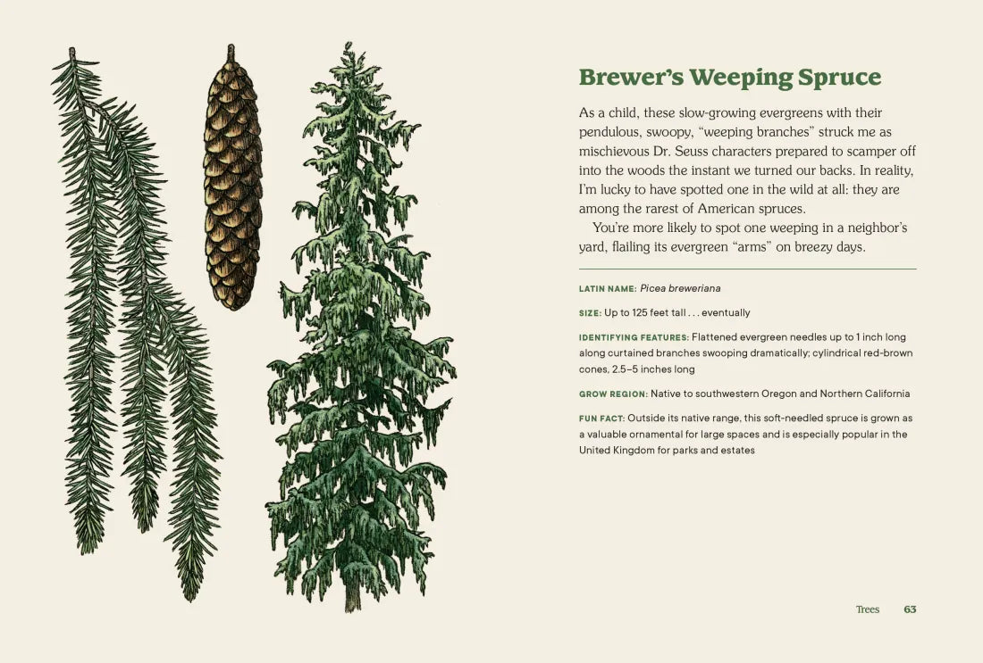 Northwest Know-How: Trees US - Hardback