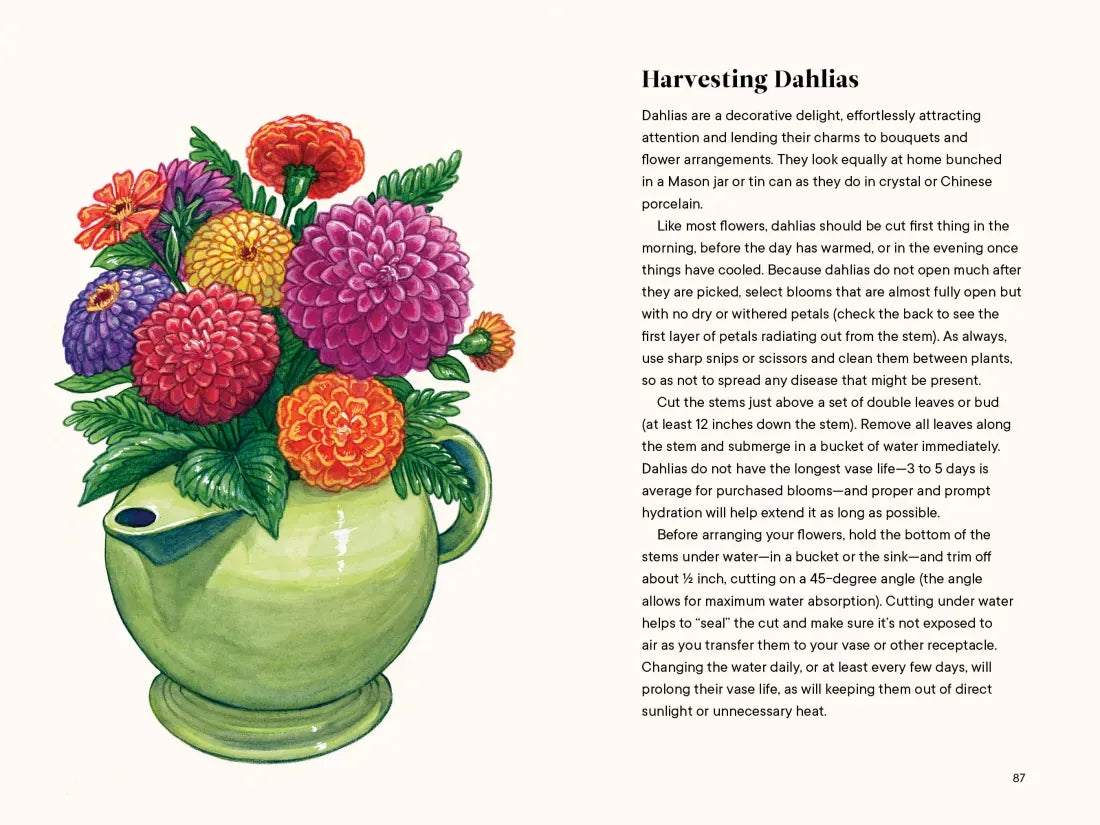 Dahlias US - Hardback