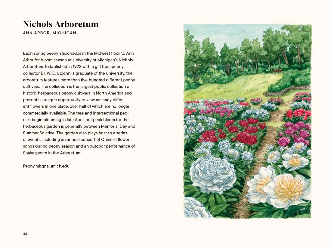 Peonies US - Hardback