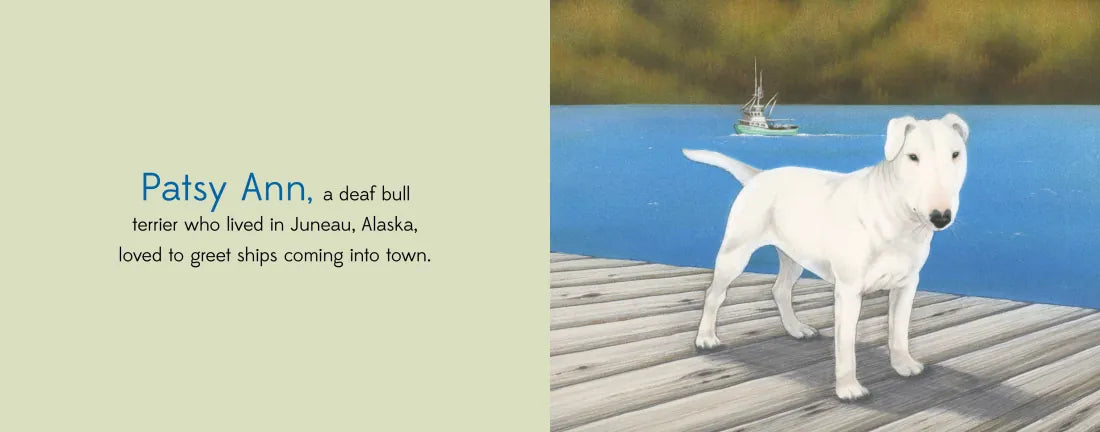 Alaska's Dog Heroes US - Board book