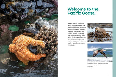 Let’s Explore the Beach! US - Paperback / softback