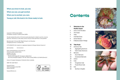 Let’s Explore the Beach! US - Paperback / softback