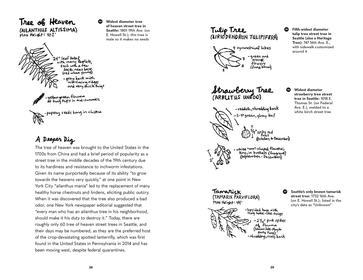 Street Trees of Seattle US - Paperback / softback