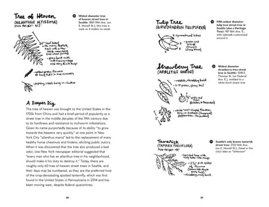 Street Trees of Seattle US - Paperback / softback
