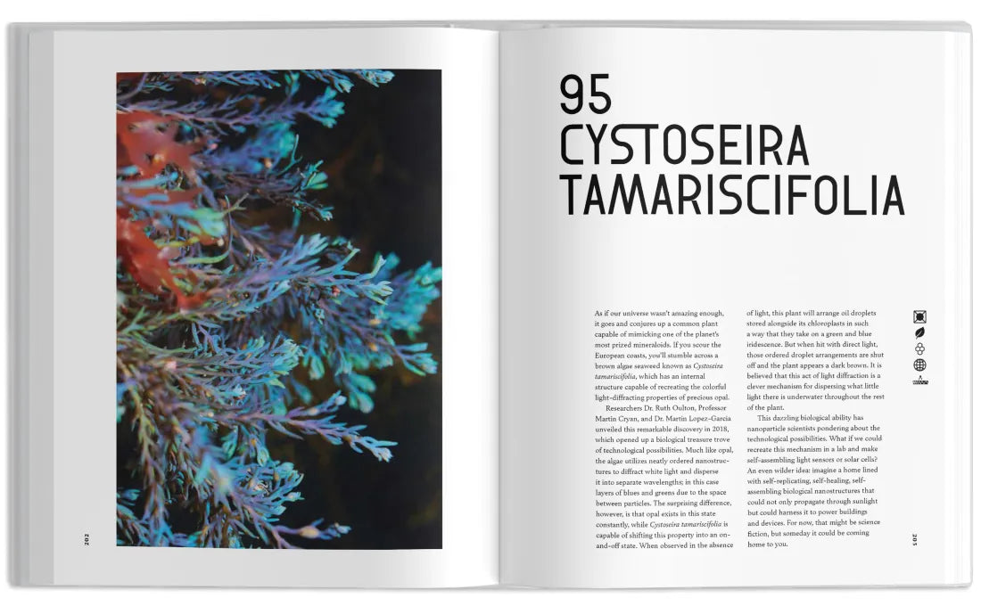The Universe in 100 Colors US - Hardback