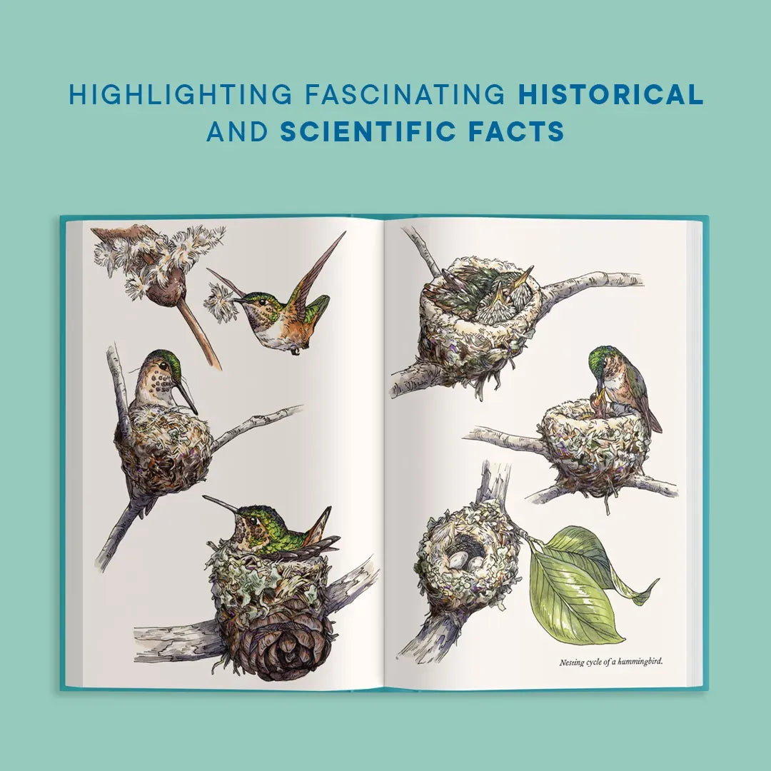 A Little Book of Hummingbirds US - Hardback