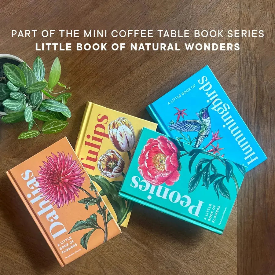 A Little Book of Hummingbirds US - Hardback