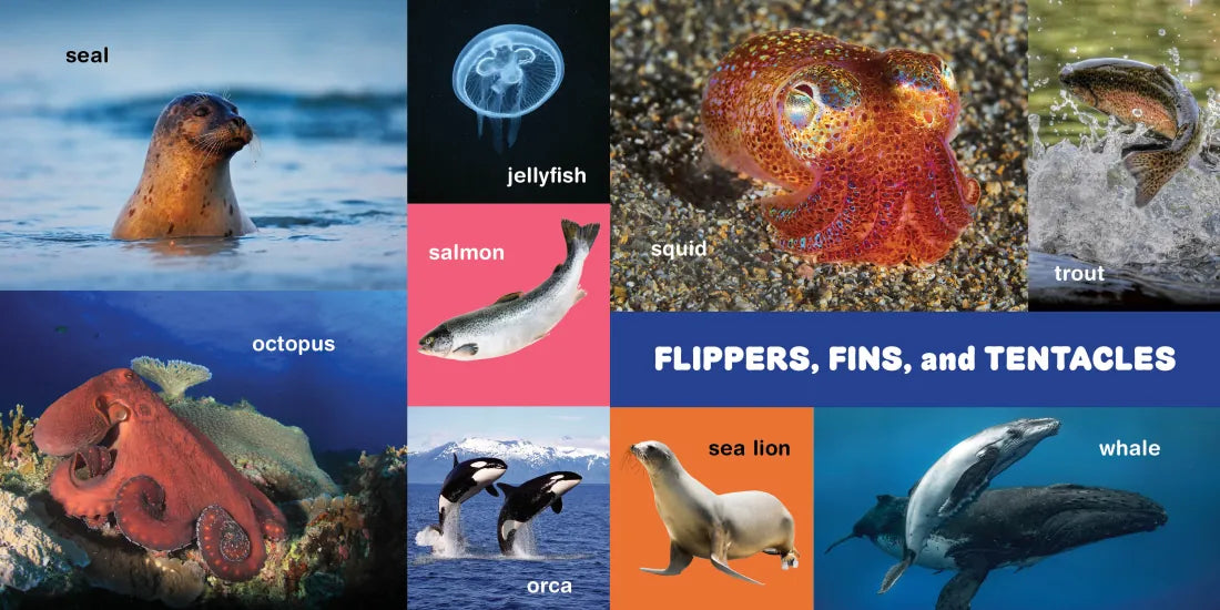 My First 100 Pacific Northwest Animals US - Board book