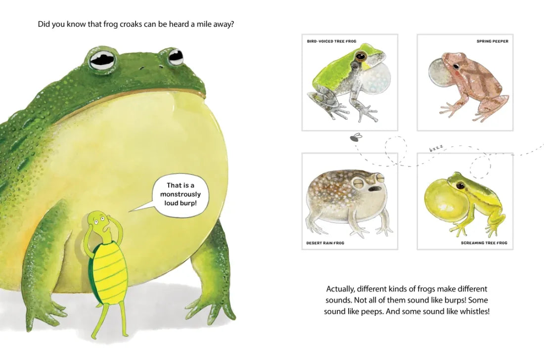 Nobody Likes Frogs US - Paperback / softback