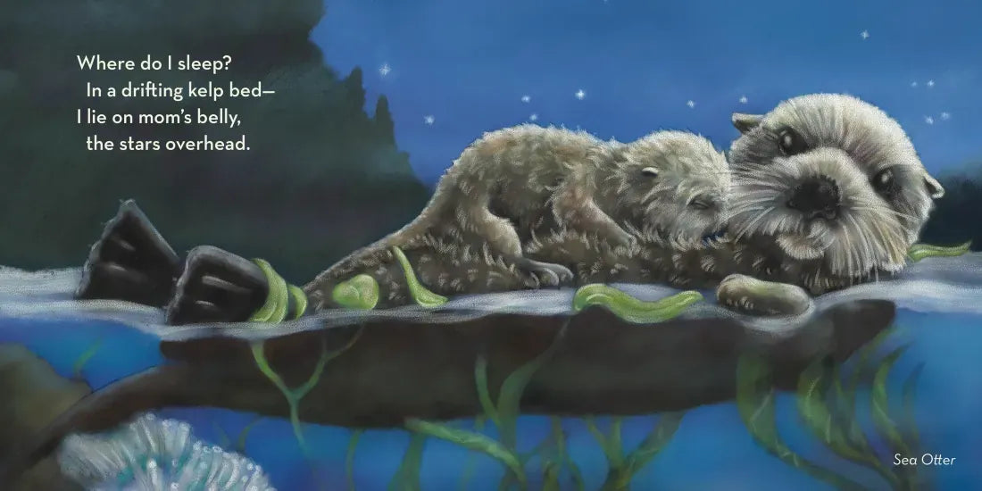 Where Do I Sleep? US - Board book (9781632175311)