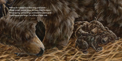 Where Do I Sleep? US - Hardback