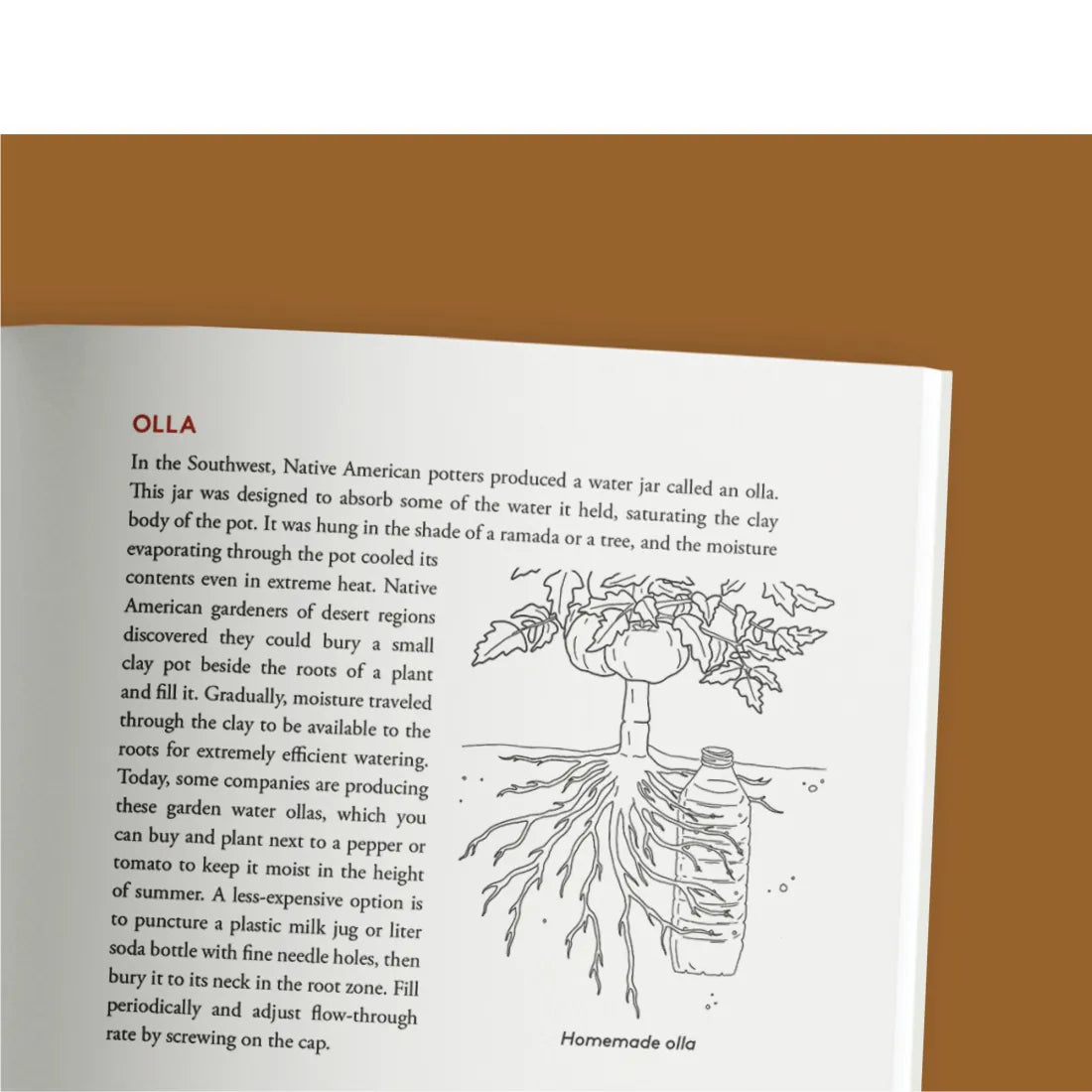 Growing Vegetables in Drought, Desert, and Dry Times, 10th Anniversary Edition US - Paperback / softback