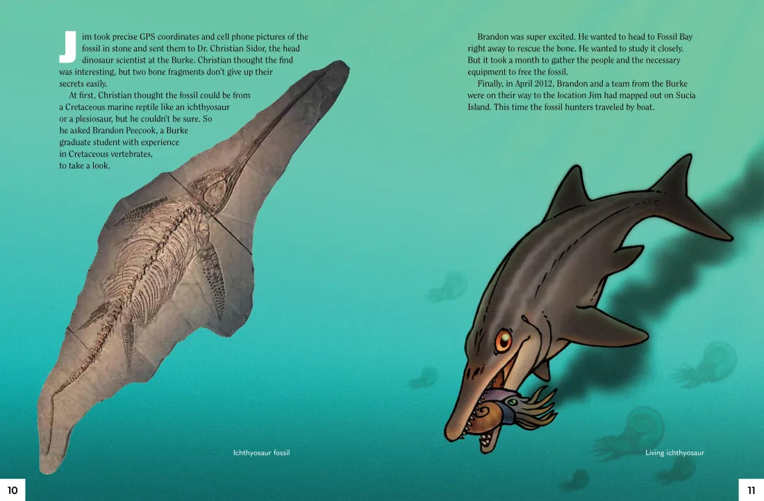 A Dinosaur for Washington US - Paperback / softback