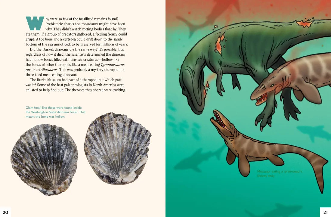 A Dinosaur for Washington US - Paperback / softback