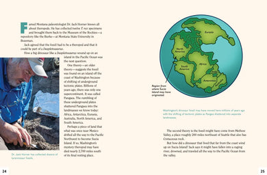 A Dinosaur for Washington US - Paperback / softback