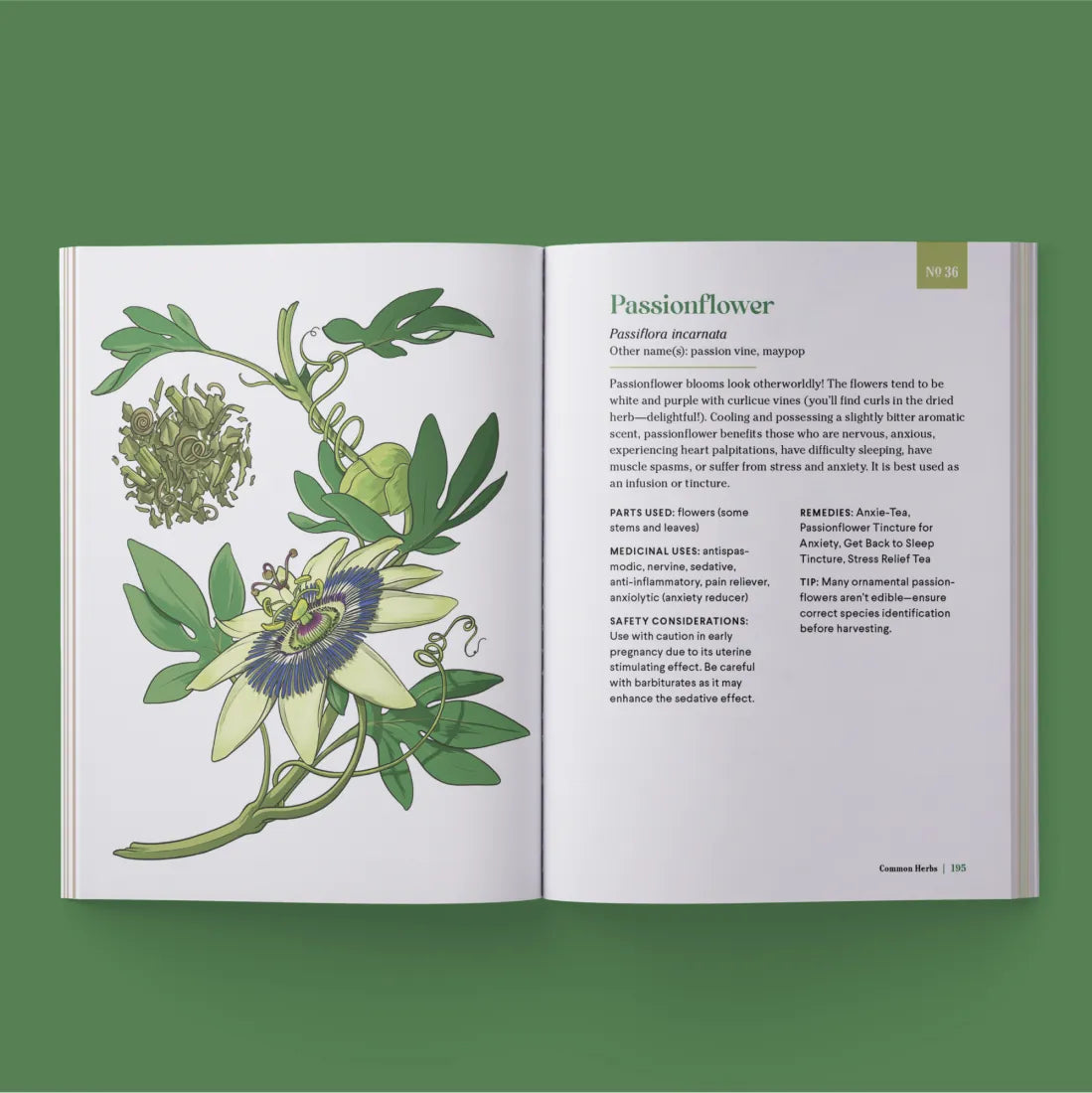 The Little Encyclopedia of Herbal Medicine US - Paperback / softback