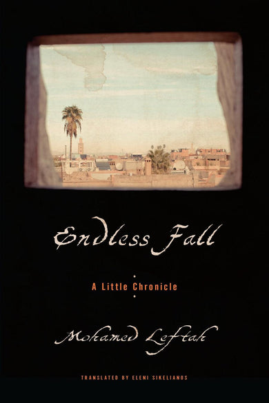 Endless Fall-Biography and memoirs-買書書 BuyBookBook